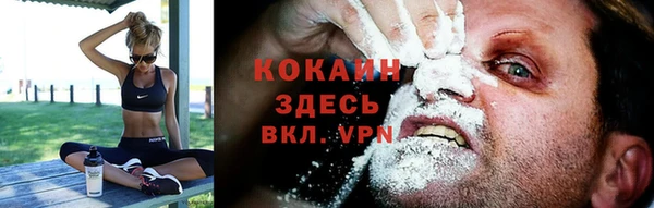 стаф Богородск