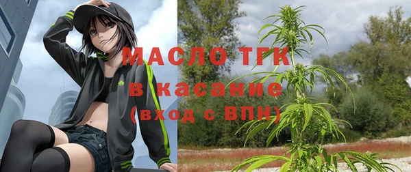 стаф Богородск