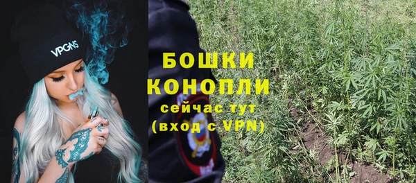 стаф Богородск
