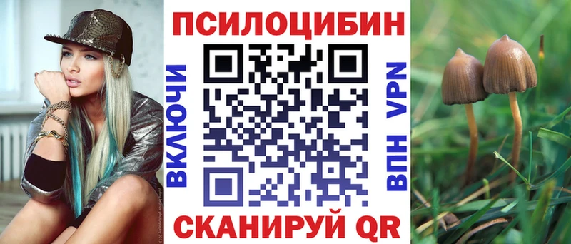 Галлюциногенные грибы ЛСД  продажа наркотиков  shop клад  Каменск-Уральский 
